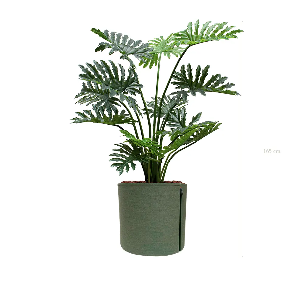 The Philodendron – MyBac Pot #Artificial