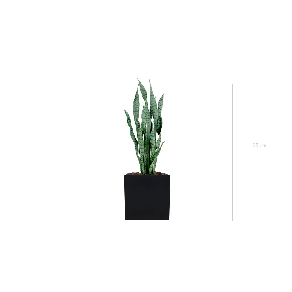 The Sansevieria – Black Cube #Artificial
