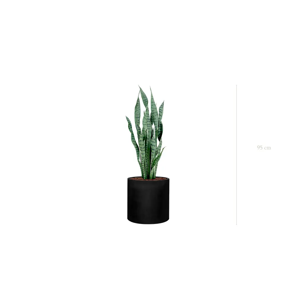Die Sansevieria - Schwarzer Zylinder #Künstlich