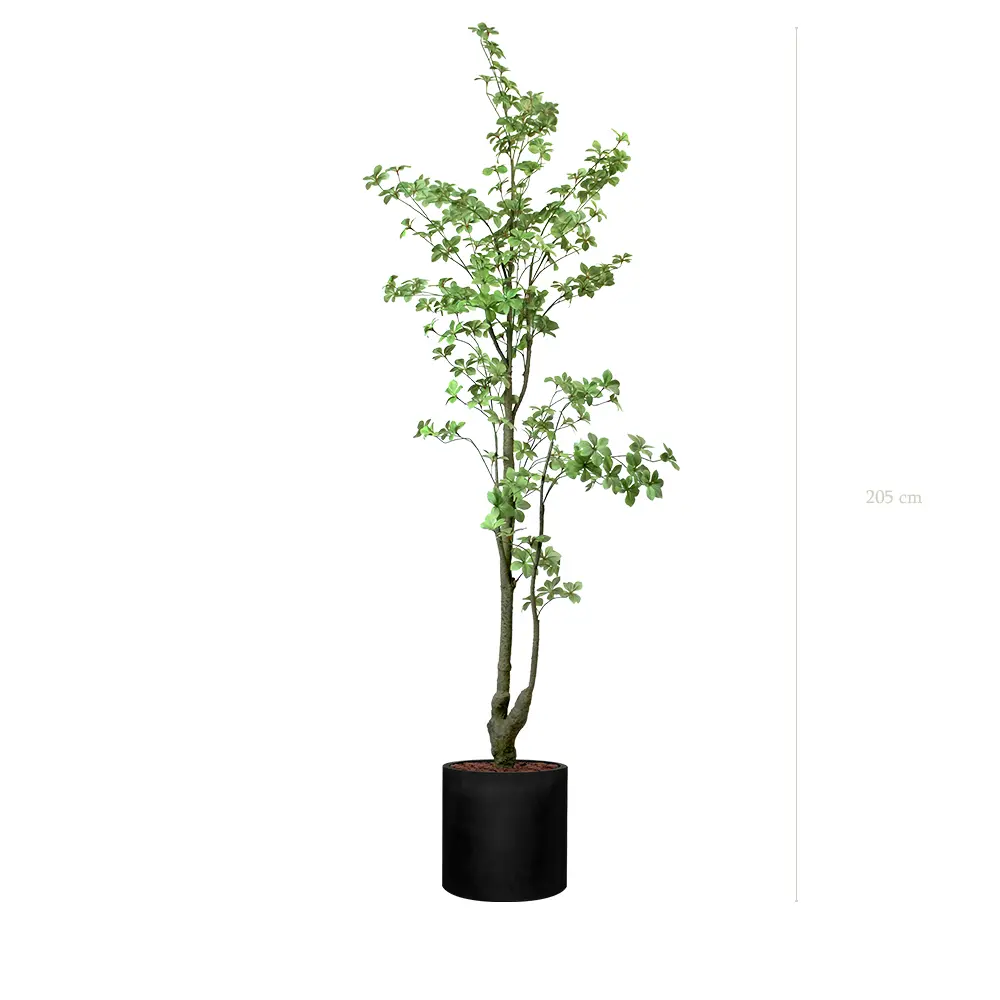 Das Tropaeolum - Schwarzer Zylinder #Künstlich