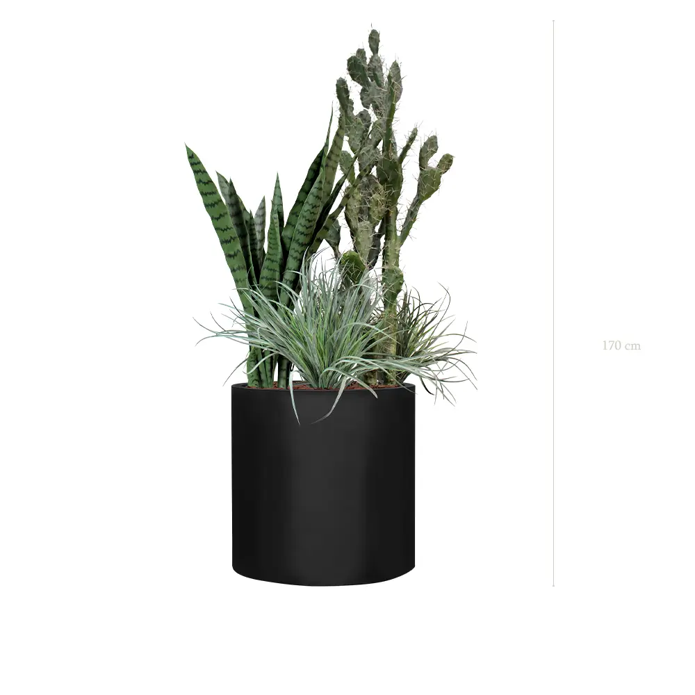 The Paros – Black Cylinder #Artificial