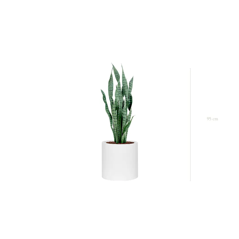 The Sansevieria – White Cylinder #Artificial