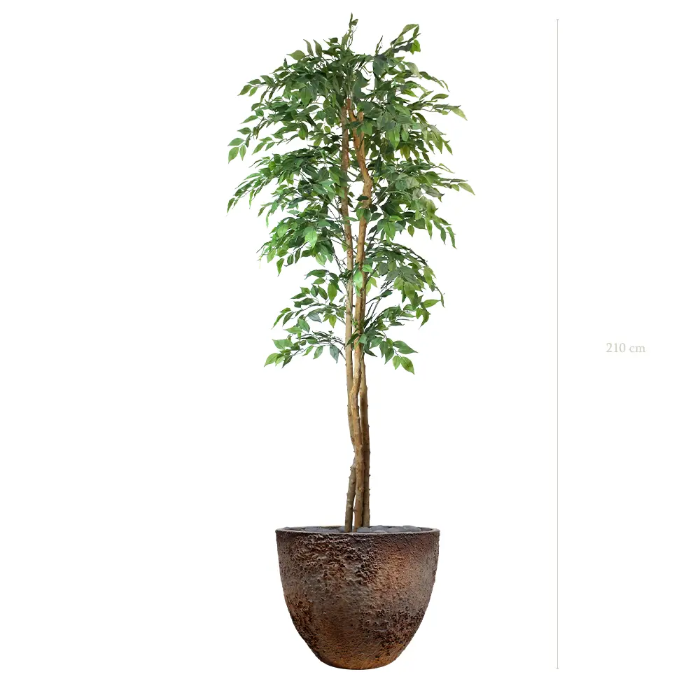 The Figuier – Oyster Pot #Semi-Natural