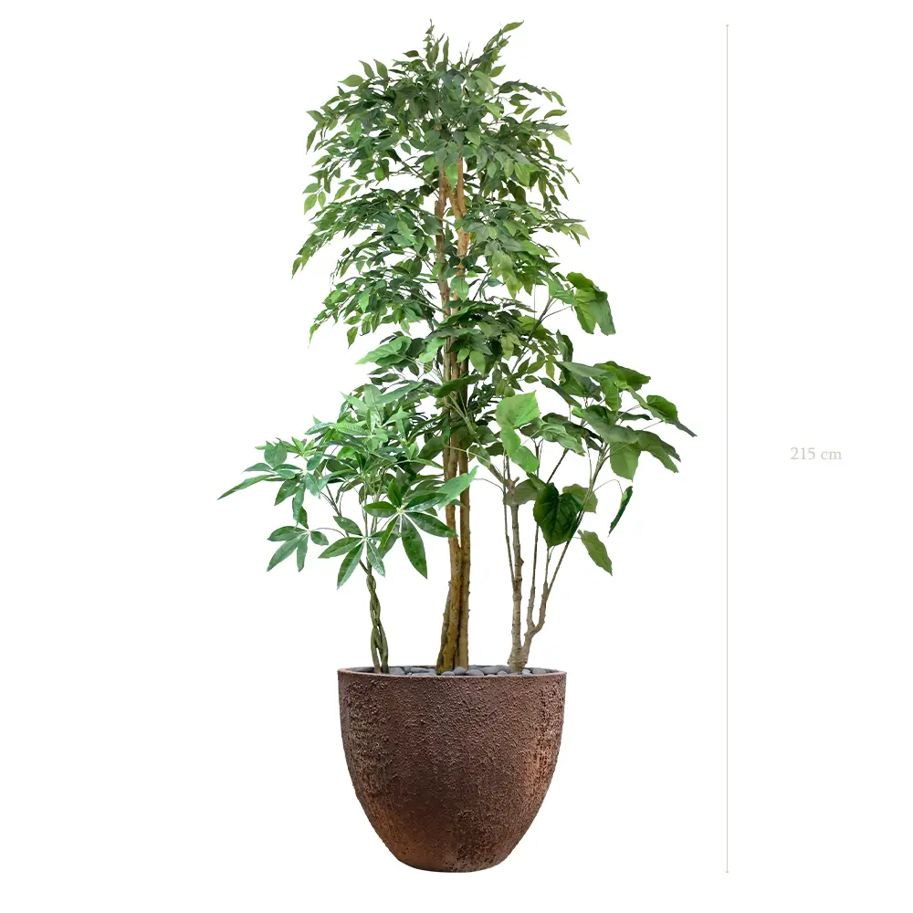 The Skye – Oyster Pot #Semi-Natural