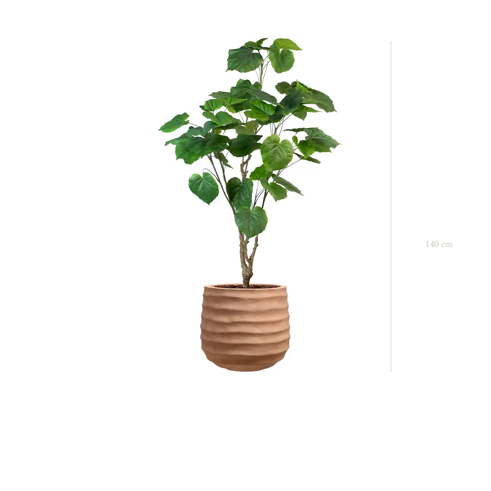 Der Ficus Umbellata - Terracotta-Topf #Künstlich