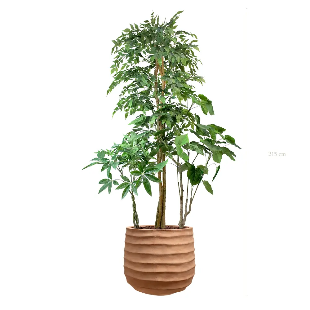 La Skye - Pot Terracotta #Semi-Naturel 