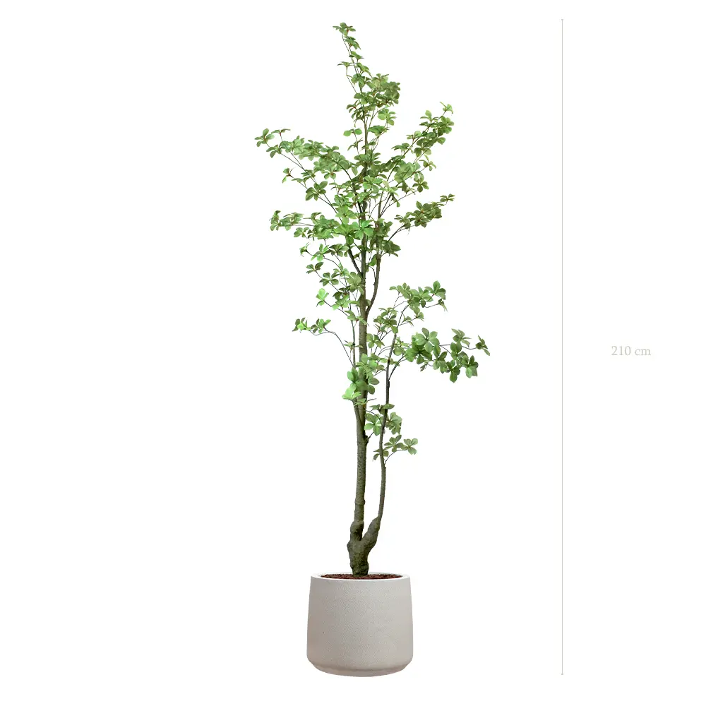 The Tropaeolum – Sand Pot #Artificial