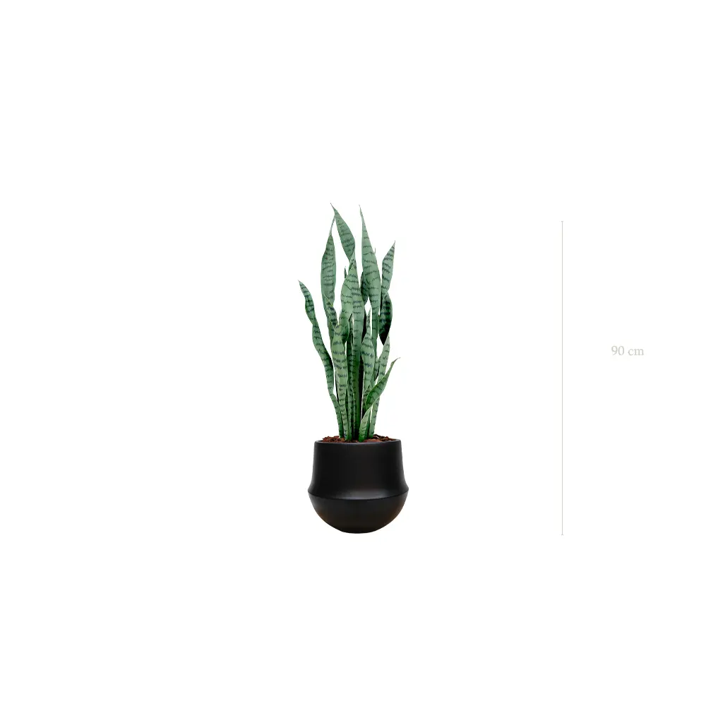 Die Sansevieria - Runder schwarzer Topf #Künstlich