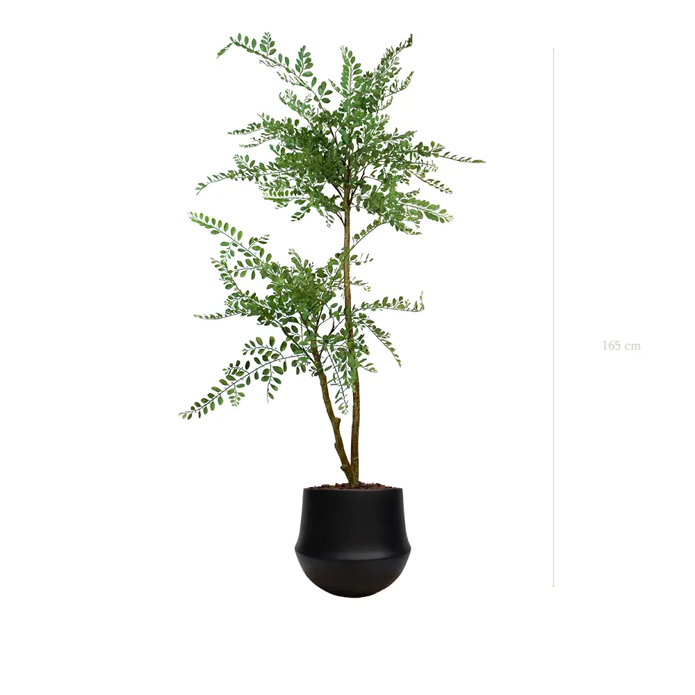 La Sophora - Pot Rond Noir - Artificiel