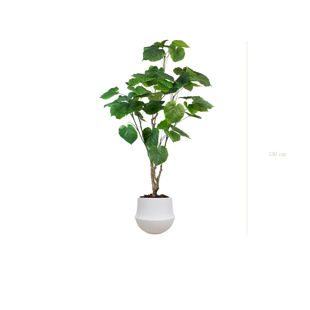 Le Ficus Umbellata - Pot Rond Blanc #Artificiell