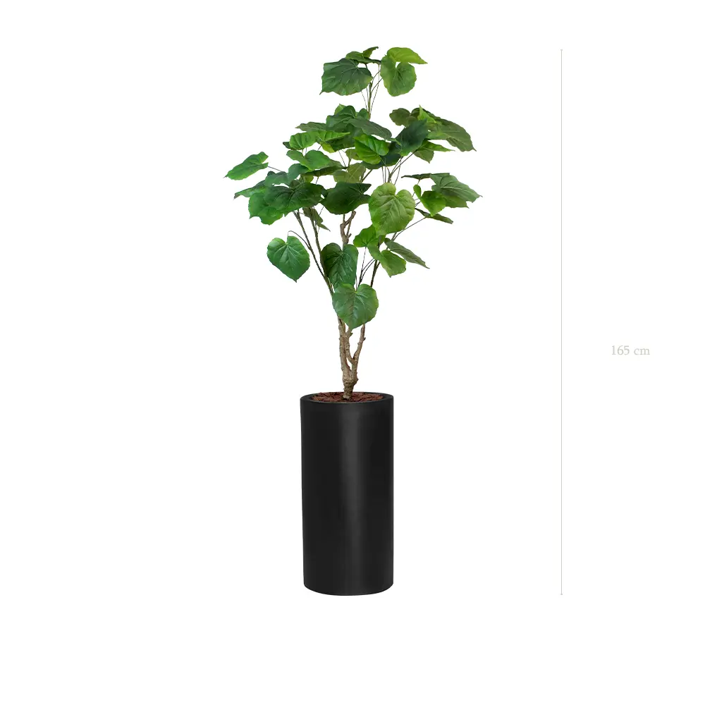 Le Ficus Umbellata - Cylindre Haut Noir - Artificiel