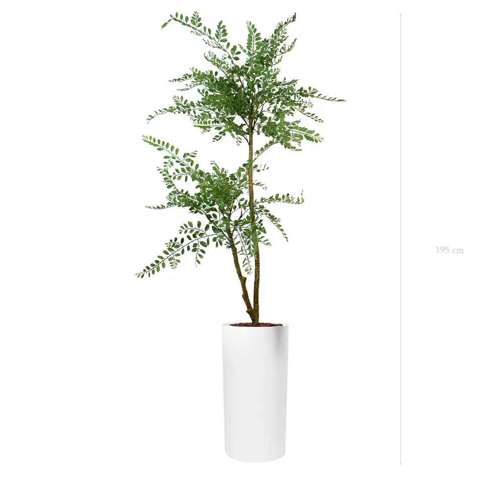 Die Sophora - Hoher weißer Zylinder #Künstlich
