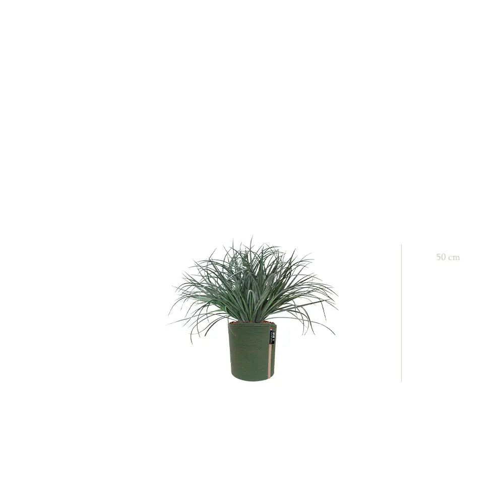 The Graminée Bush – MyBac Pot #Artificial