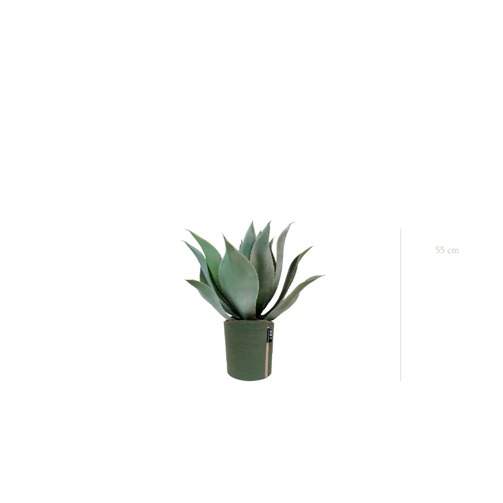 The Agave – MyBac Pot #Artificial