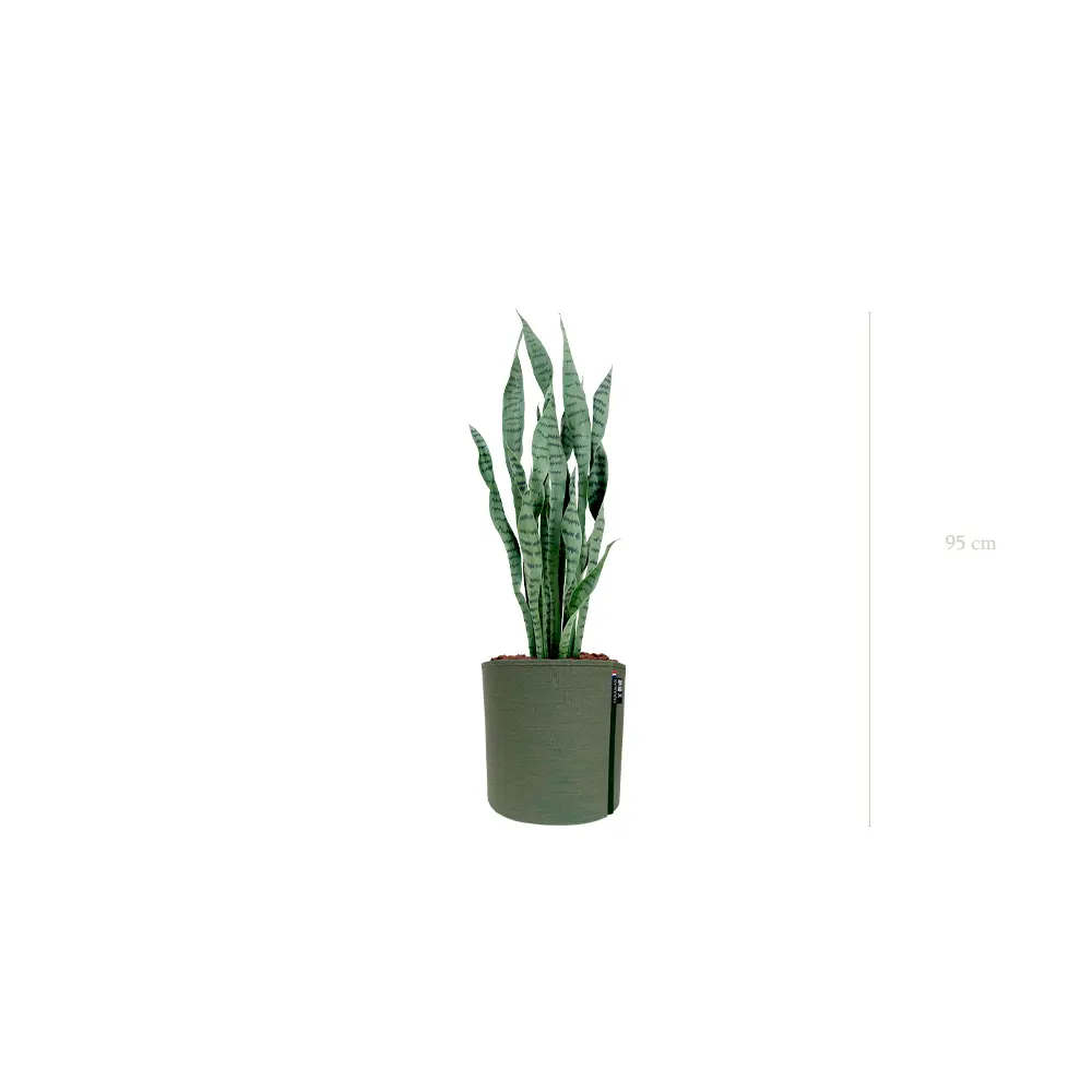 Le Sansevieria - Pot MyBac #Artificiel
