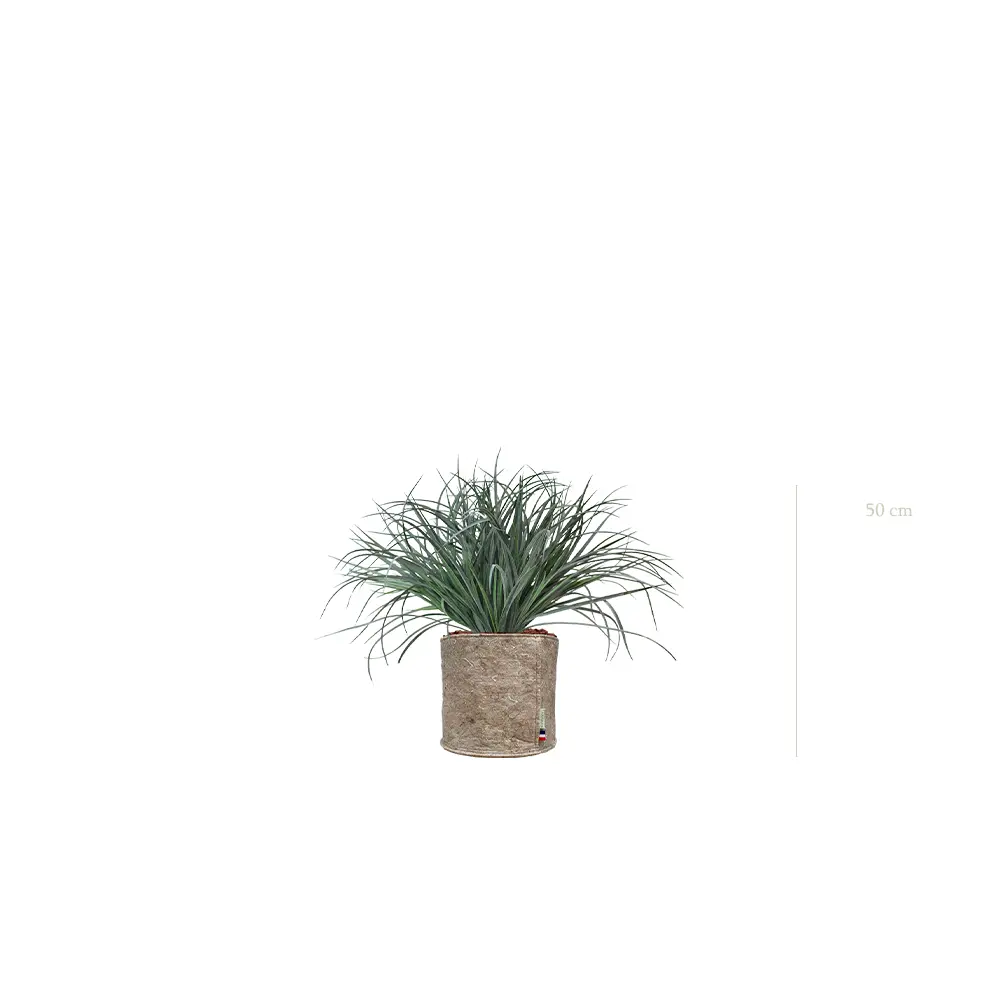 La Graminée Bush - Pot Tissu Beige #Artificiel