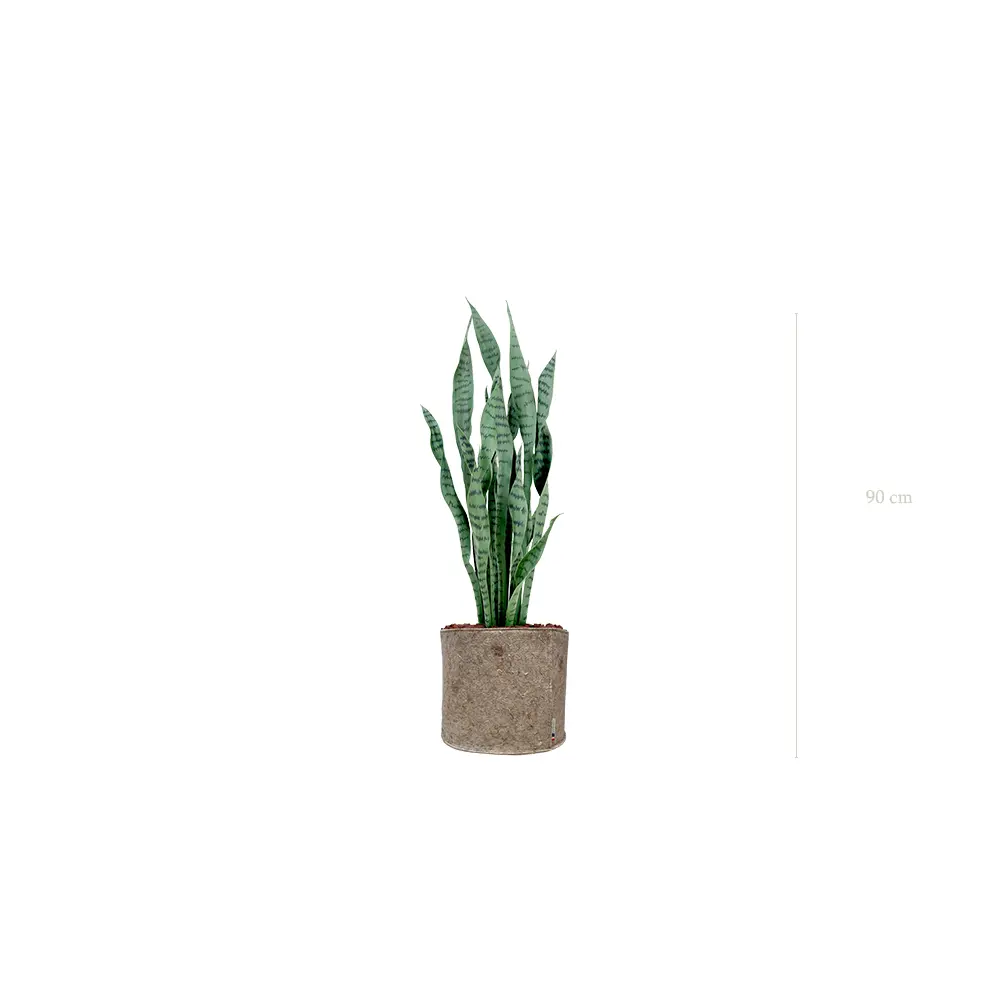 Die Sansevieria - Beiger Stofftopf #Künstlich