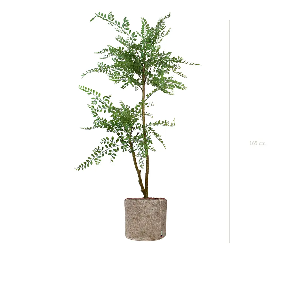 The Sophora – Beige Fabric Pot #Artificial