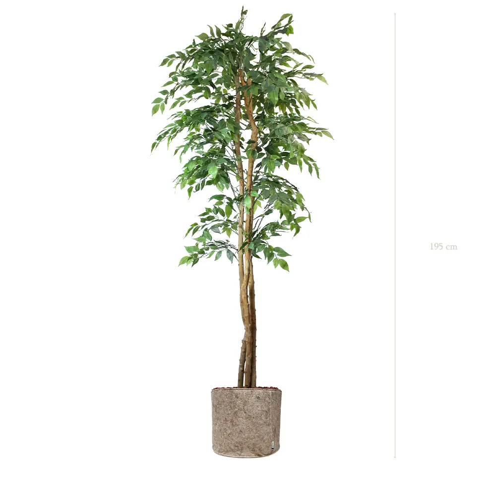 The Figuier – Beige Fabric Pot #Semi-Natural