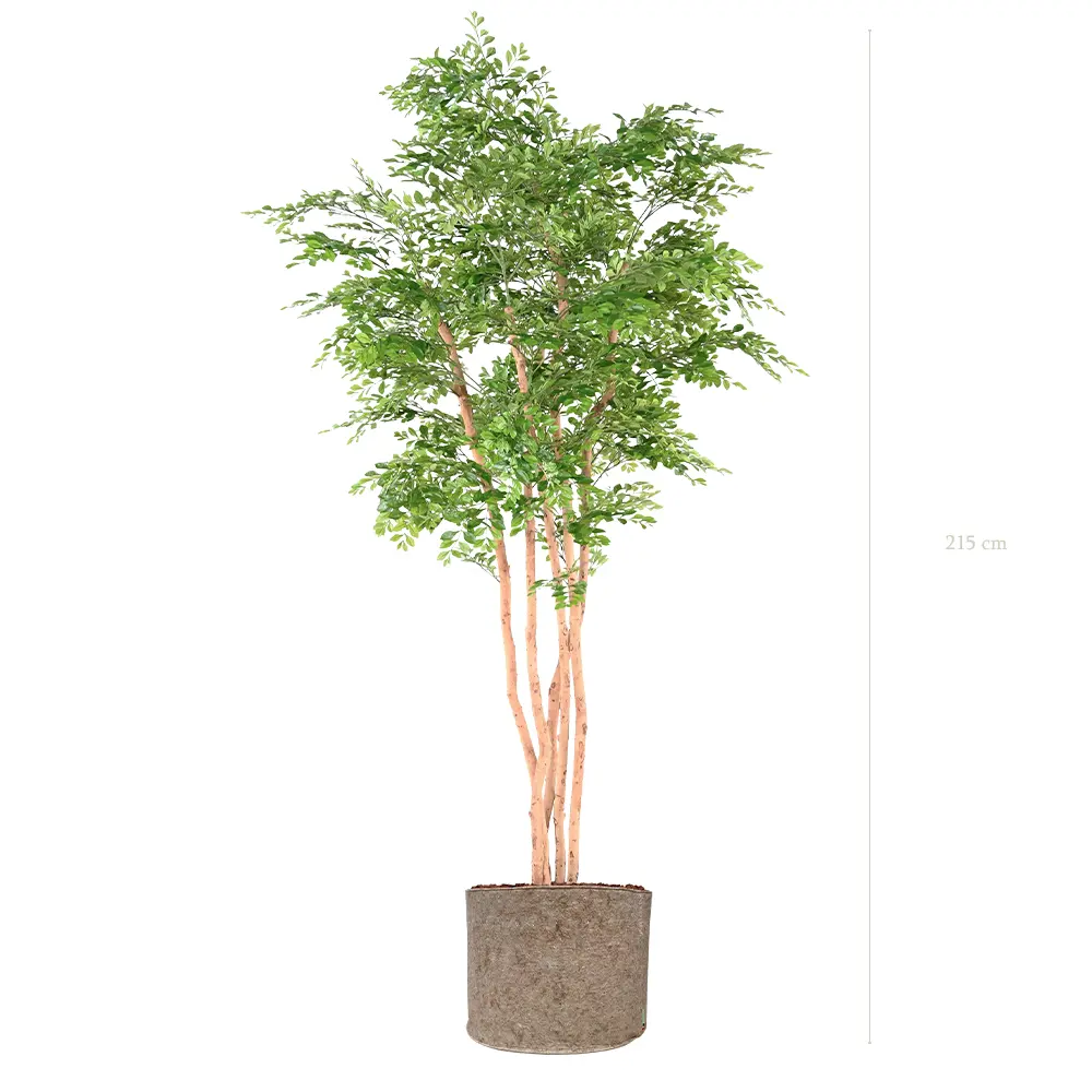 L'Acacia - Beiger Stofftopf #Halbnatürlich