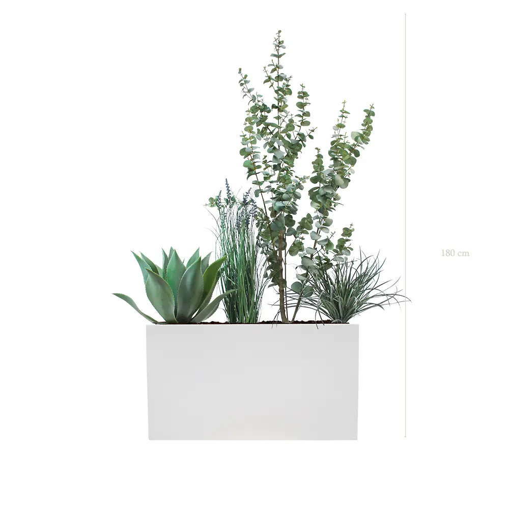 Séparateur S. Fréjus - Bac Blanc #Artificiel