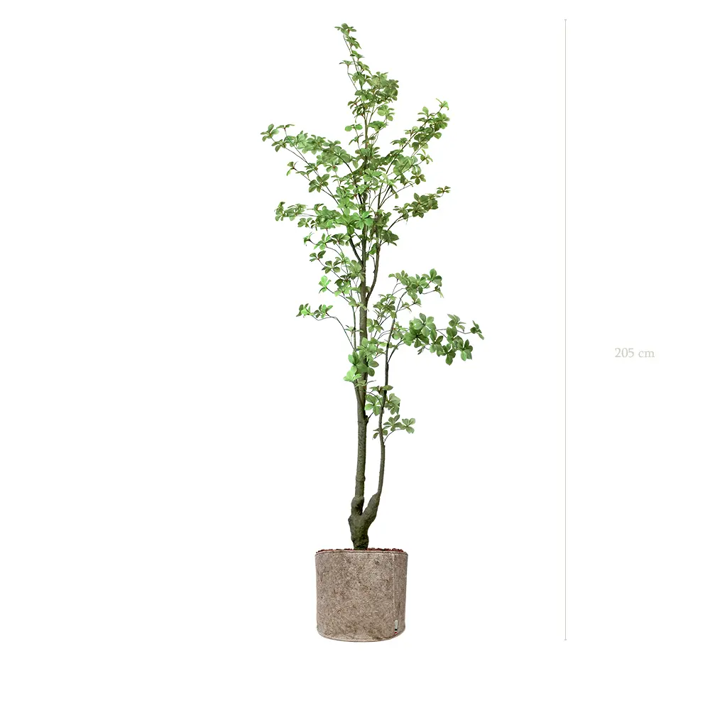 Le Tropaeolum - Pot Tissu Beige - Artificiel 