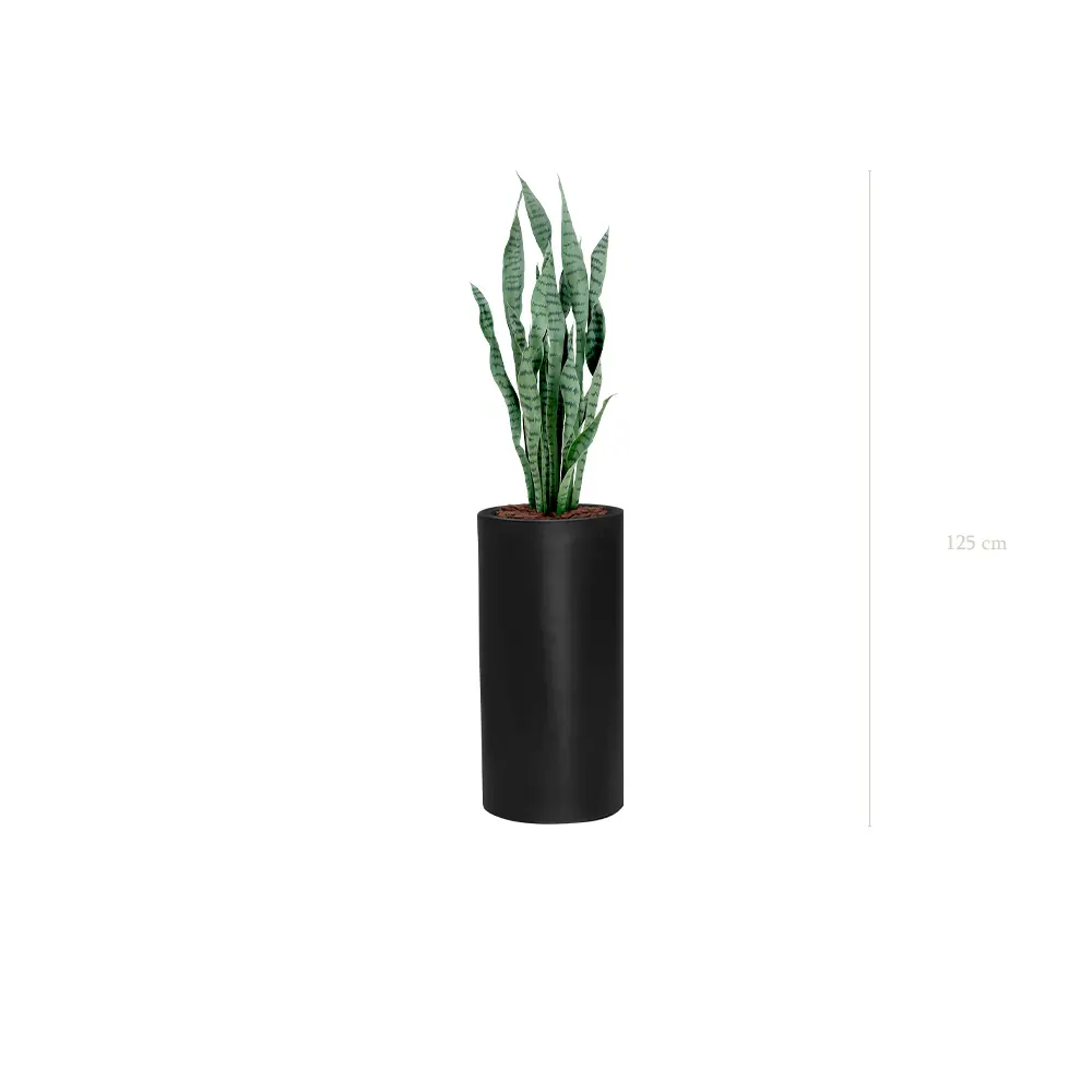 Le Sansevieria - Cylindre Haut Noir - Artificiel 