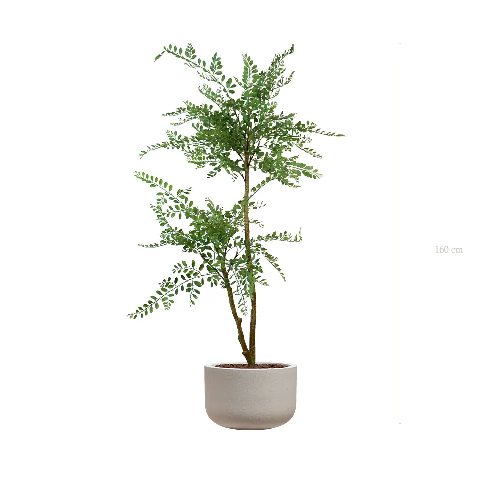 La Sophora - Pot Sable - Artificiel 
