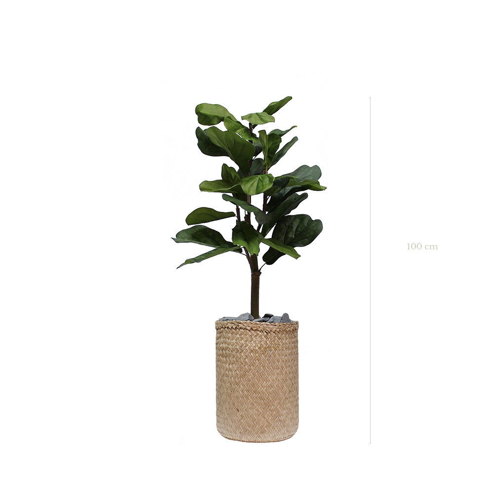 Die Lyrata 100 cm – Naturgeflecht-Topf #künstlich