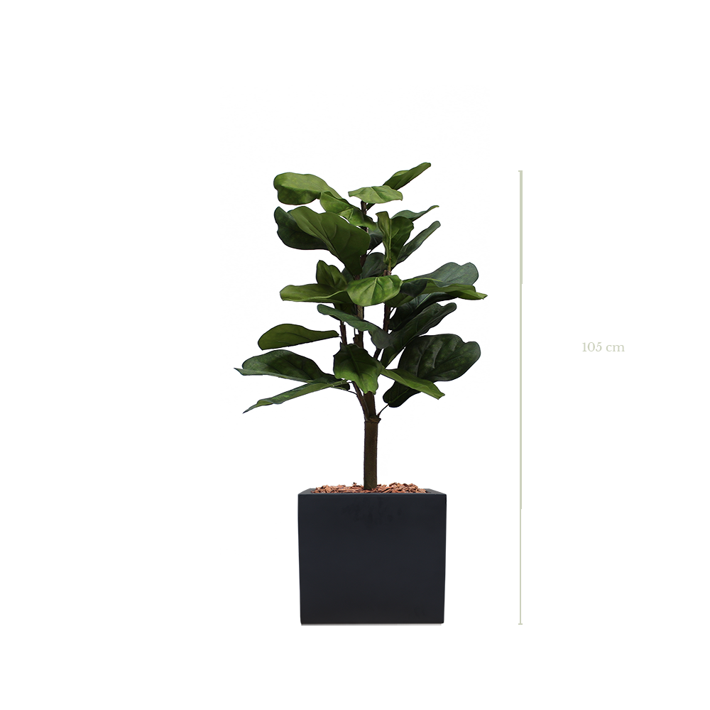 Le Lyrata 105 cm - Cube Noir #Artificiel