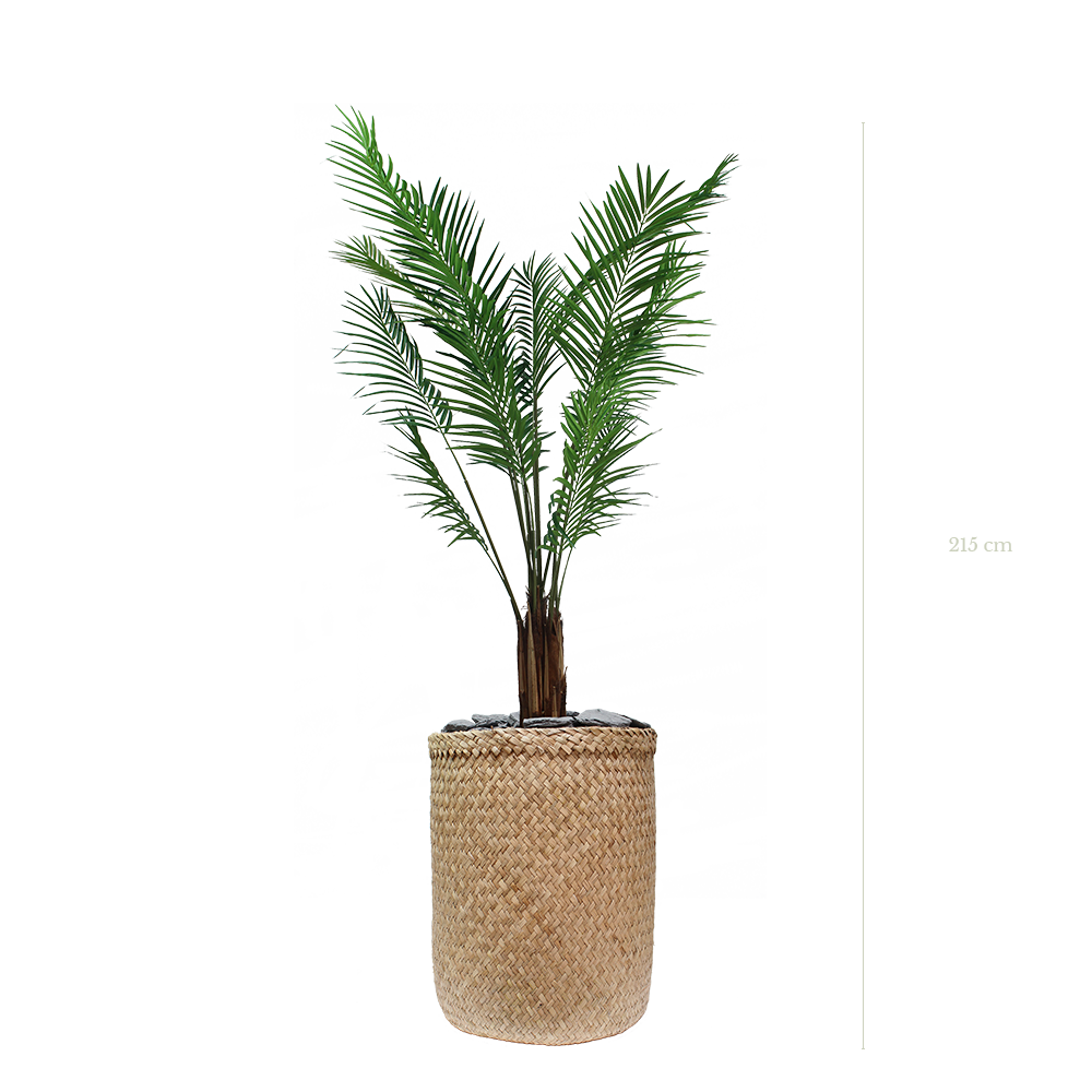 L'Areca 215 cm - Pot Tressé #Semi-Naturel