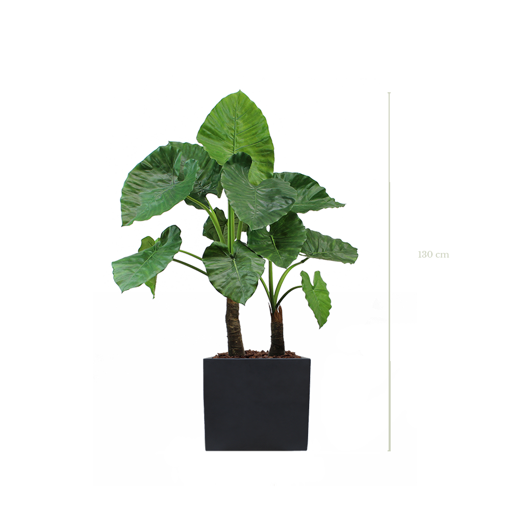 Die große Alocasia 130 cm - Schwarzer kubischer Topf #Künstlich