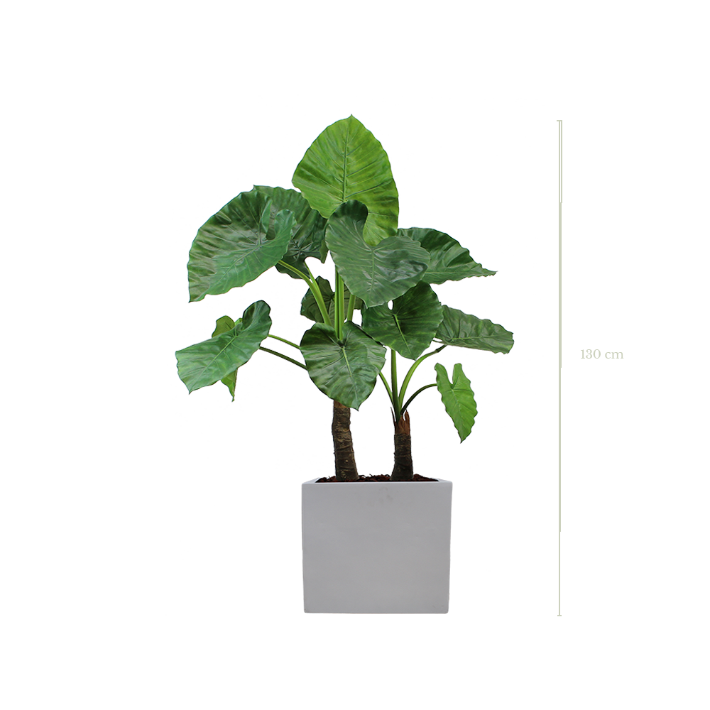 Le Grand Alocasia 130 cm - Cube Blanc #Artificiel