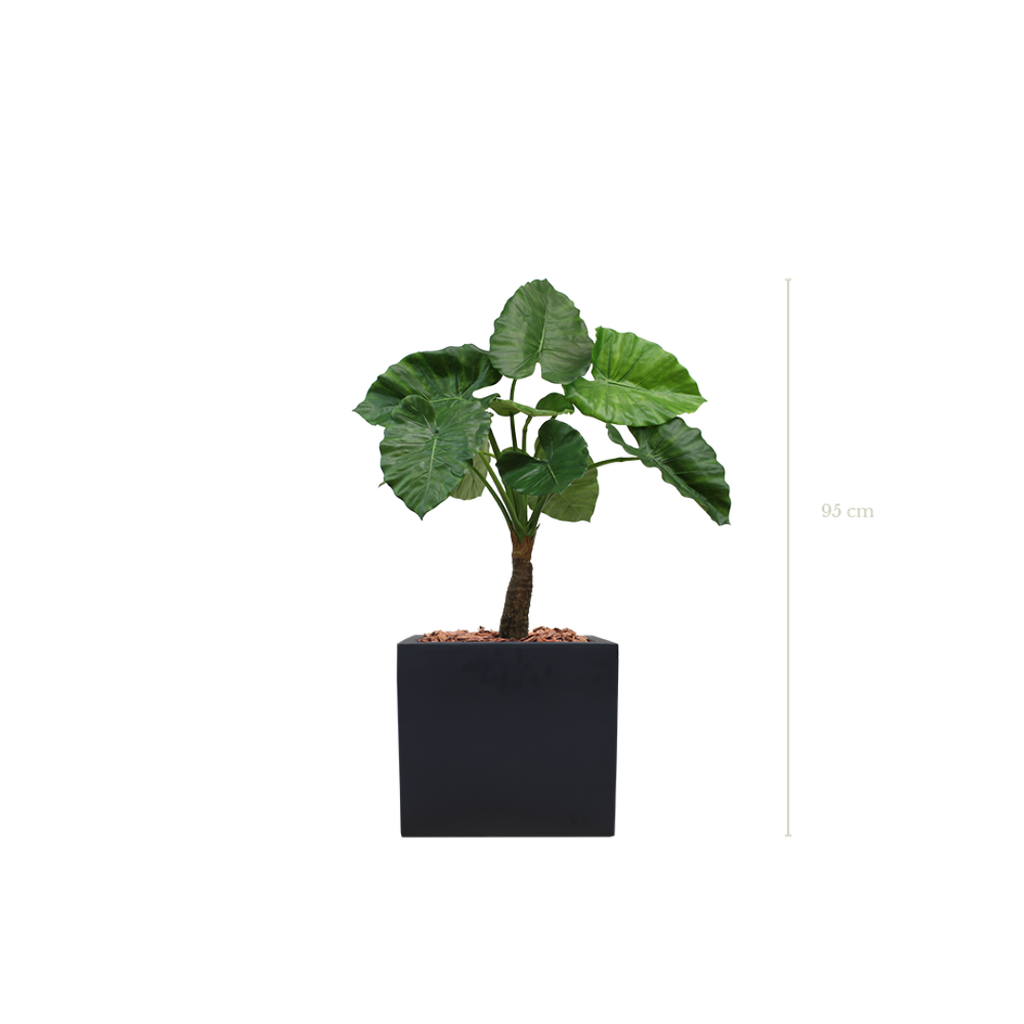 Le Petit Alocasia 95 cm - Cube Noir #Artificiel
