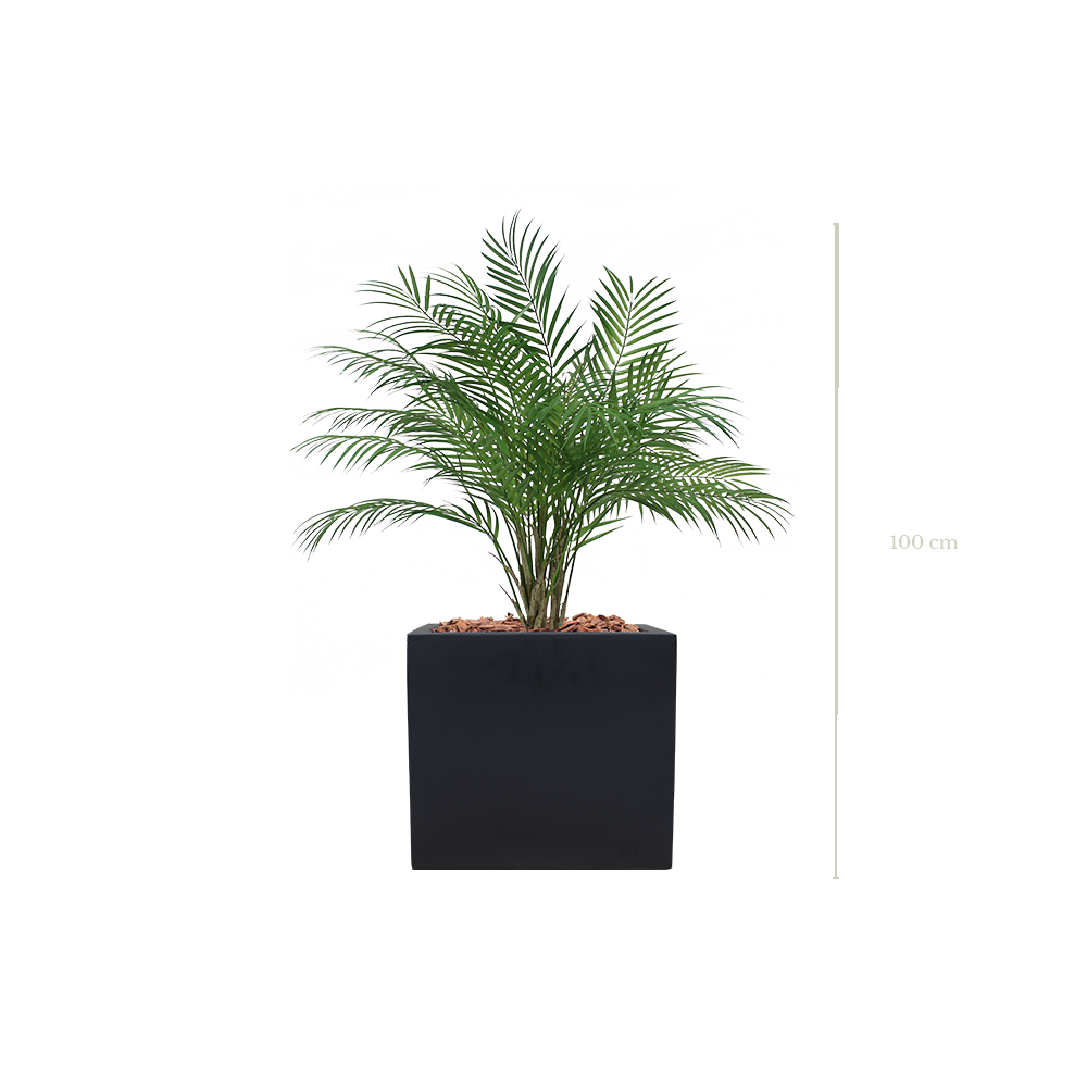 Le Palm 100 cm - Cube Noir #Artificiel