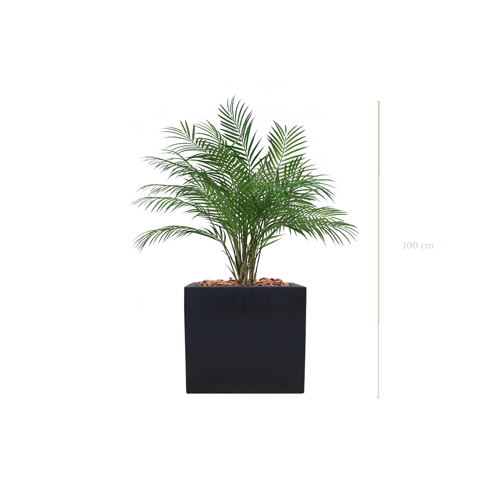 The Palm in a black square pot #Artificial
