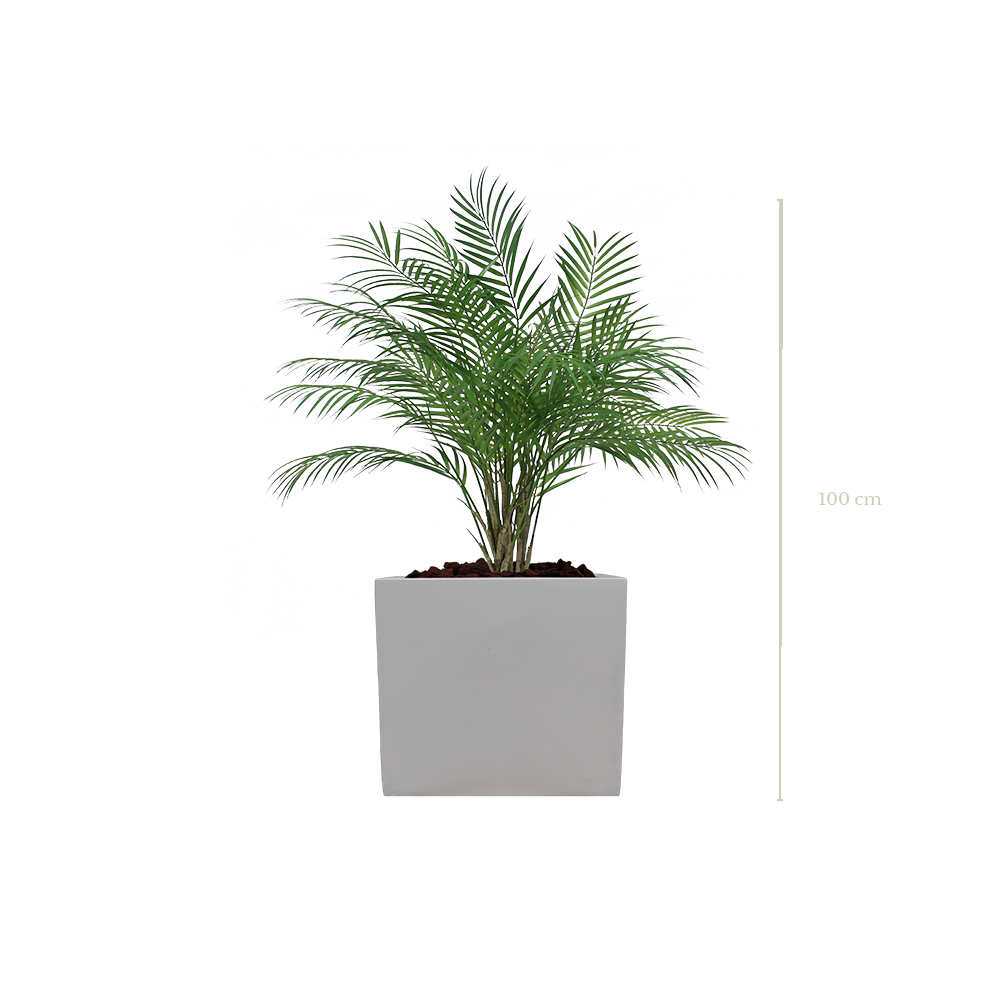 Le Palm 100 cm - Cube Blanc #Artificiel