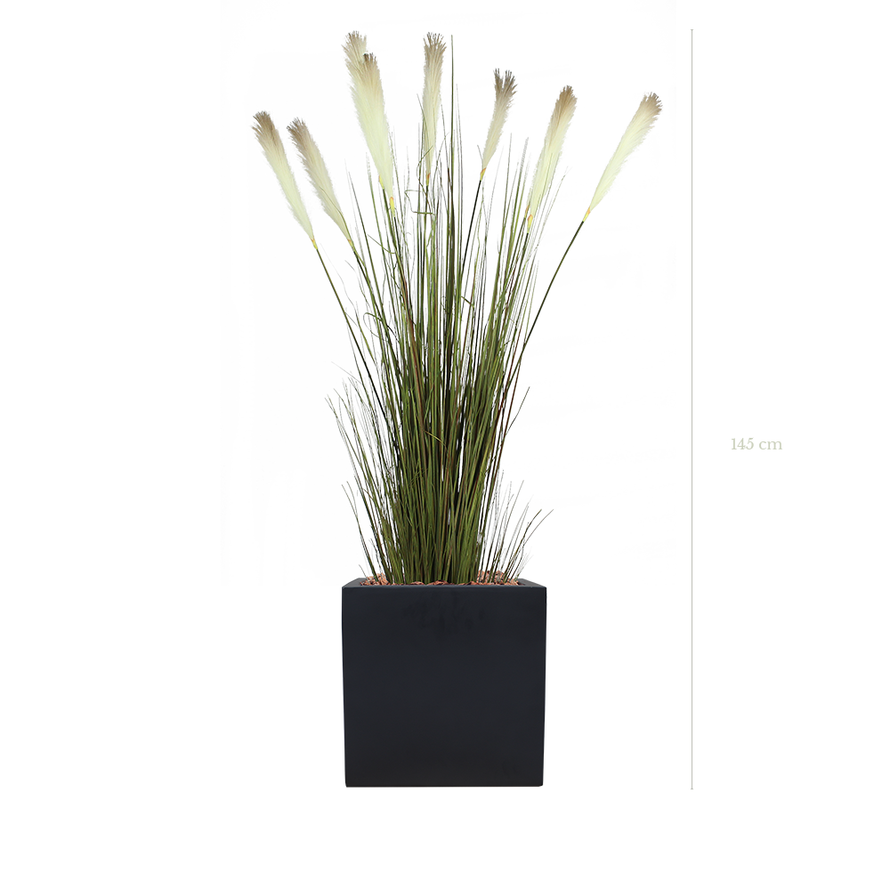 The Pampa in a black square pot #Artificial