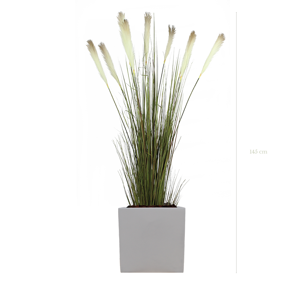 die Pampagras 145 cm - weißer kubischer Topf #Künstlich