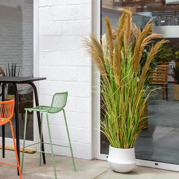 La Grande Pampa 185 cm - Pot Rond Blanc - Artificiel