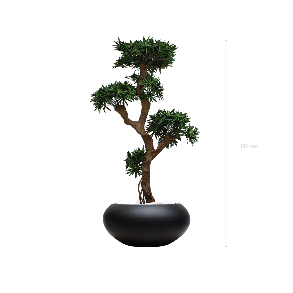 Der Podocarpus 150 cm – Schwarzer ovaler Topf #künstlich