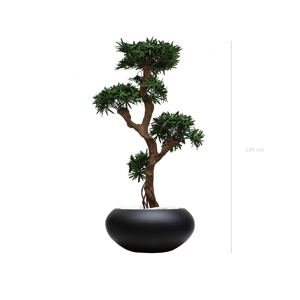 Le Podocarpus 150 cm - Pot Ovale Noir #Artificiel