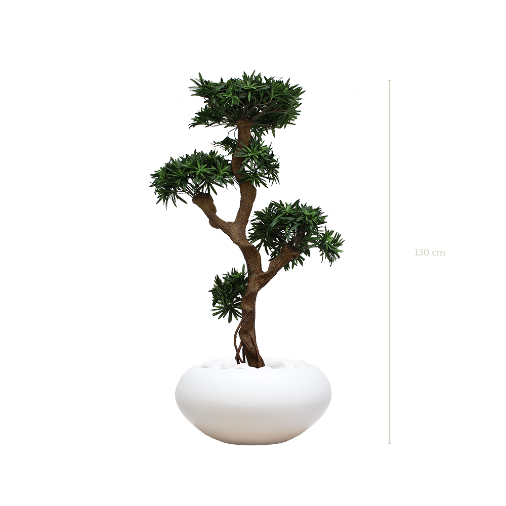 Le Podocarpus 150 cm - Pot Blanc #Artificiel