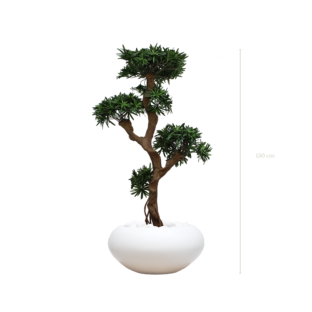 Le Podocarpus 150 cm - Pot Ovale Blanc - Artificiel