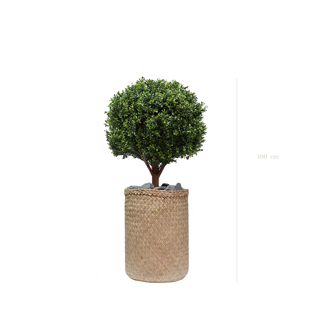 Le Buis 100 cm - Pot Tressé #Artificiel