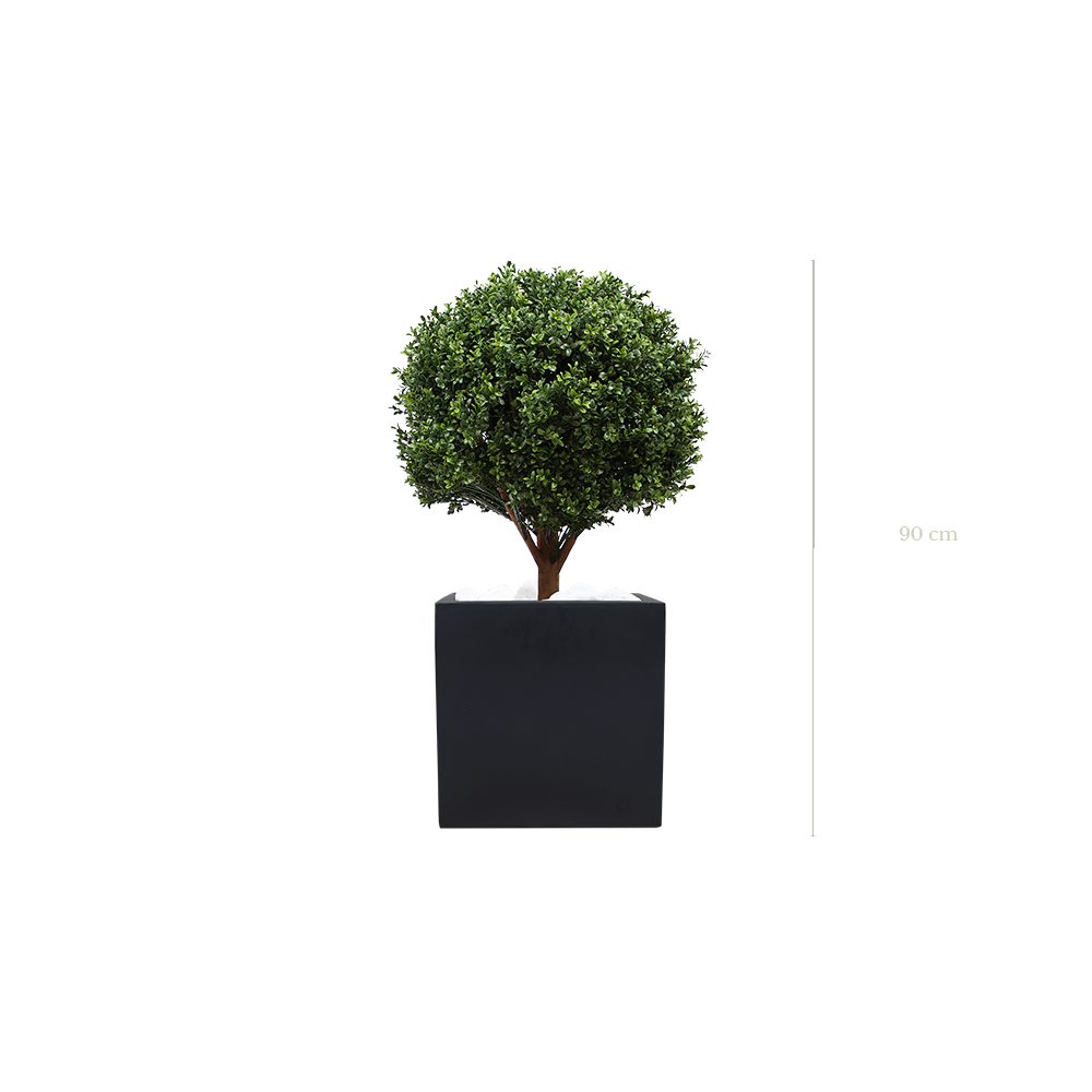 Le Buis 90 cm - Cube Noir #Artificiel