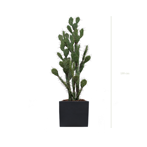 Le Cactus 150 cm - Cube Noir #Artificiel