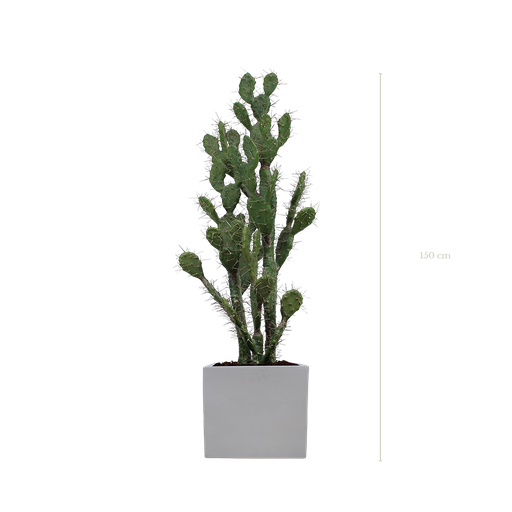 Le Cactus 150 cm - Cube Blanc #Artificiel