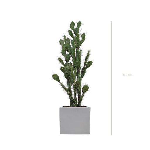 Le Cactus 150 cm - Cube Blanc - Artificiel