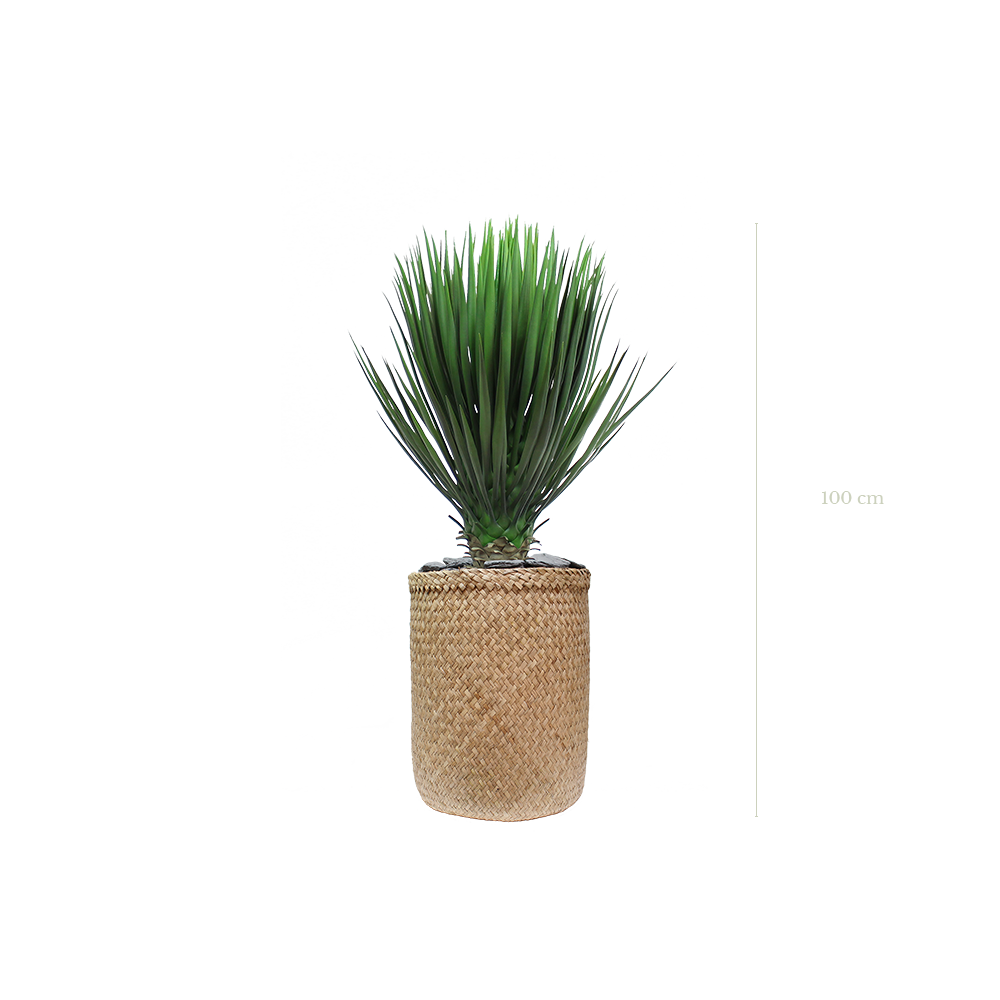 Le Yucca 100 cm - Pot Tressé #Artificiel